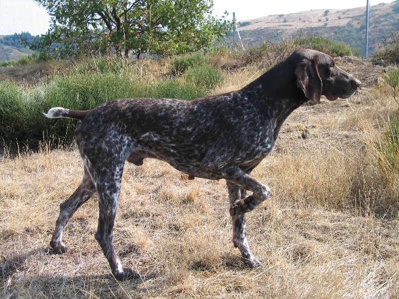 Sebio du vallon de Beaudini