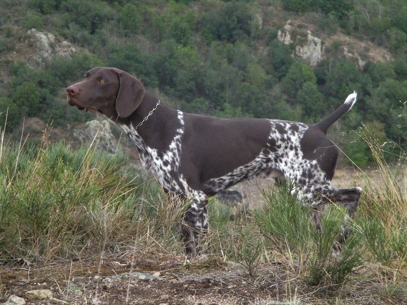 TR. Omar du vallon de Beaudini
