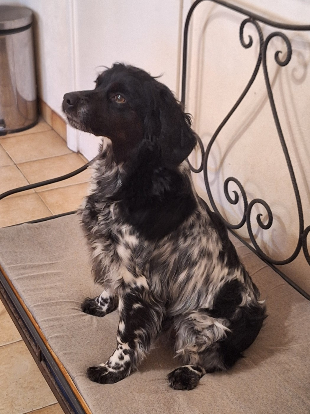 TR. SOAZIG  Du Domaine De La Vourdiat