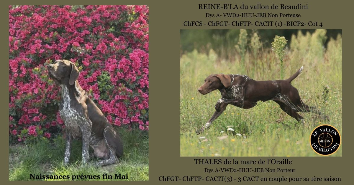 Naissances prochaines