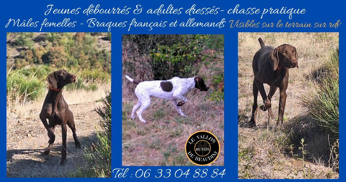 Disponibles à la vente
