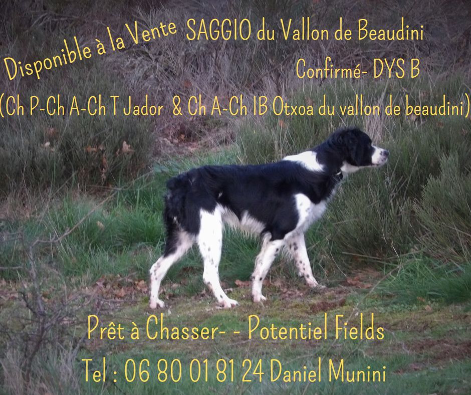 du vallon de Beaudini - A VENDRE pour la chasse- potentiel fields